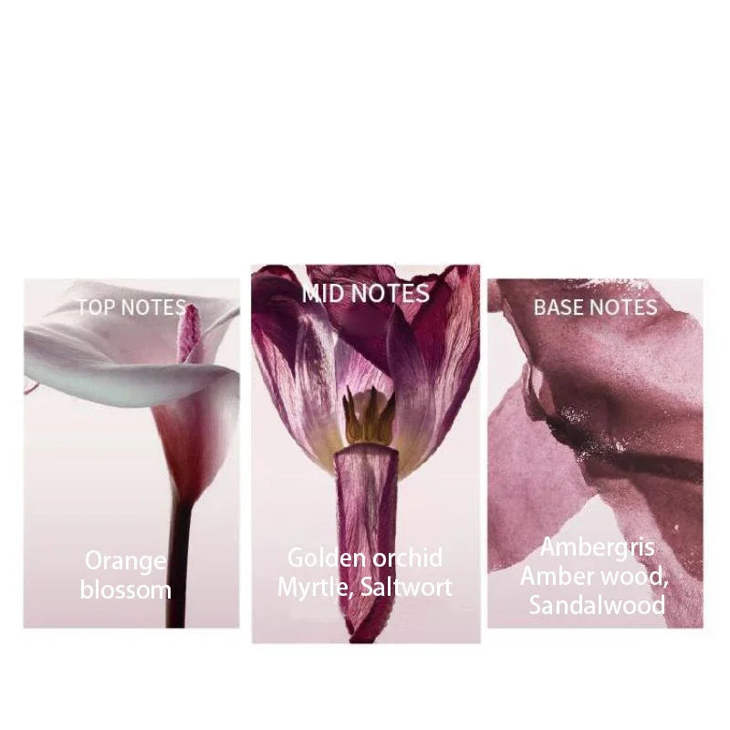 Perfume Mujer Floral Acuoso Ligero Primavera 100ml – Fresco Diario Larga Duración